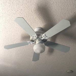 Meet your Posher, Daniela